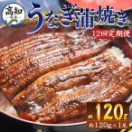 こうなん うなぎ 蒲焼き 合計12尾