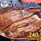 うなぎ 定期便 全12回 Wfb-0040