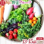 野菜定期便 旬の野菜