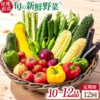 野菜定期便 10-12品目 野菜セット