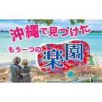 沖縄旅行の疲れを癒す 至極のマッサージ体験60分 1名様