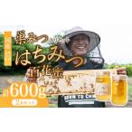 はちみつ 巣みつ入り 300g×2瓶
