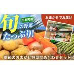 季節のおまかせ野菜セット セット