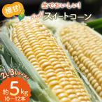 BI207 とうもろこし スイートコーン