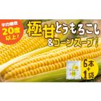 濃厚 極甘とうもろこし コーンスープ セット
