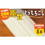 白い極甘とうもろこし 8本