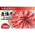 おおいた豊後牛 サーロイン しゃぶしゃぶすき焼き用 500g