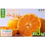 柑橘 果物 フルーツ 特産品 温州みかん ジャム