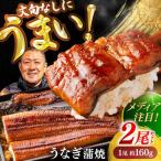 うなぎ 長蒲焼2尾 約160g×2