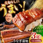 うなぎ 長蒲焼3尾 約160g×3