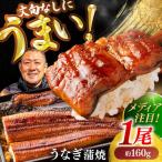 うなぎ 長蒲焼1尾 約160g×1