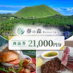 奏の森ResortsのAGEDでも使える商品券21,000円分_旅行券