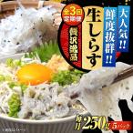 冷凍生しらす50g×5個 しらす