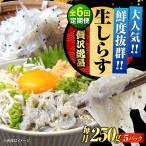 冷凍生しらす50g×5個 しらす
