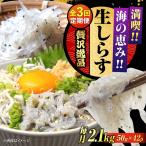 冷凍生しらす50g×42個 しらす