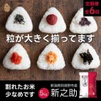 新之助 5kg×6回
