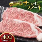 牛肉 サーロイン 三田産黒毛和牛 三田和牛