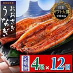 おおさき うなぎ 長蒲焼 4尾