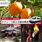 ジャンボタクシーで回る 観光 4名~9名
