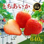 いちご とちあいか 15粒入り320g 2パック