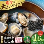 しじみ 宍道湖産 冷凍大和しじみ 砂抜き済