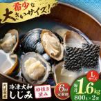 しじみ 宍道湖産 冷凍大和しじみ 砂抜き済