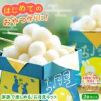 お菓子 家族で楽しめる お月見キット 2個セット