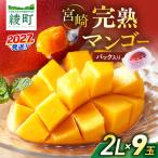 完熟マンゴー 2L×9玉