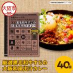 厳選黒毛和牛すじの大阪和風出汁カレー 180g×40個