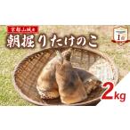 ふるさと納税 【先行予約】京都山城産 朝掘りたけのこ 2kg (2026年4月発送) 【 筍 】【237】 京都府井手町