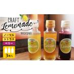 果汁飲料 ながさきクラフトレモネード 3種 飲み比べ