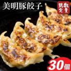 ふるさと納税 ★数量限定★餃子 美明豚「びめいとん」のジューシー餃子 1袋(30個入り)|餃子 ぎょうざ ギョウザ 美明豚 数量限定 びめいとん 肉 .. 茨城県行方市