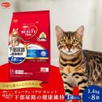 キャットフード ビューティープロ 下部尿路の健康維持