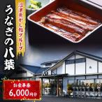 お食事券 うなぎの八葉 沼津魚がし鮨 うなぎ