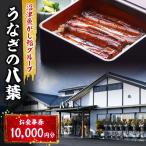 お食事券 うなぎの八葉 沼津魚がし鮨 うなぎ