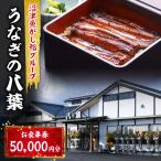お食事券 うなぎの八葉 沼津魚がし鮨 うなぎ