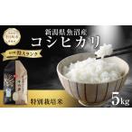 魚沼産 コシヒカリ 特別栽培米 精米 5kg