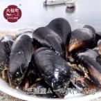 三陸産ムール貝 生 1kg