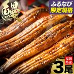 うなぎ 鰻 3尾