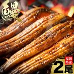 うなぎ 2尾