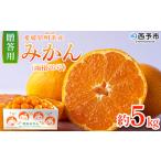 果物 くだものフルーツ ミカン 柑橘 なんかん20ごう