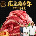 牛 切り落とし 2パック600g 訳あり 牛肉