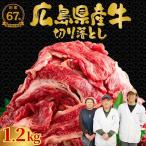 牛 切り落とし 4パック1.2kg 訳あり