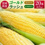 2027年出荷 ゴールドラッシュ とうもろこし 7kg