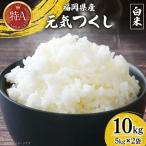 白米 精米 令和7年 元気つくし 5kg