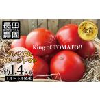 プレミアムフルーツトマト 約1.4kg