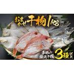 漁場手作り干物 季節の厳選おまかせセット 約1kg