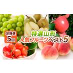 ふるさと納税 【定期便5回】特選山形人気フルーツベスト5 FY24-519 山形県山形市