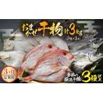 定期便 漁場手作り干物 季節の厳選おまかせセット 約1kg