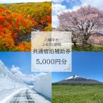 共通宿泊補助券 5000円相当 宿泊施設